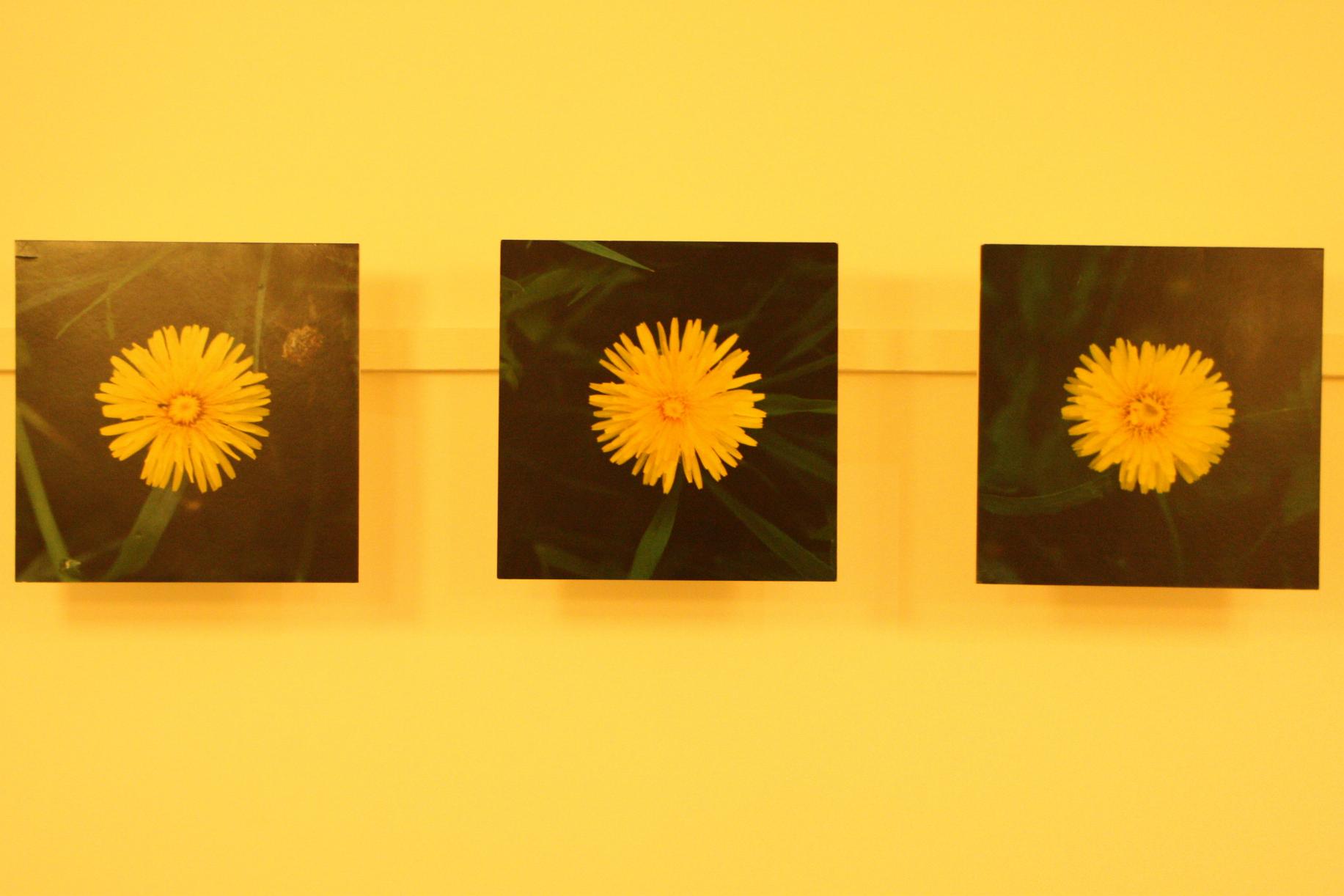 11-07 Gleich&Anders2.jpg